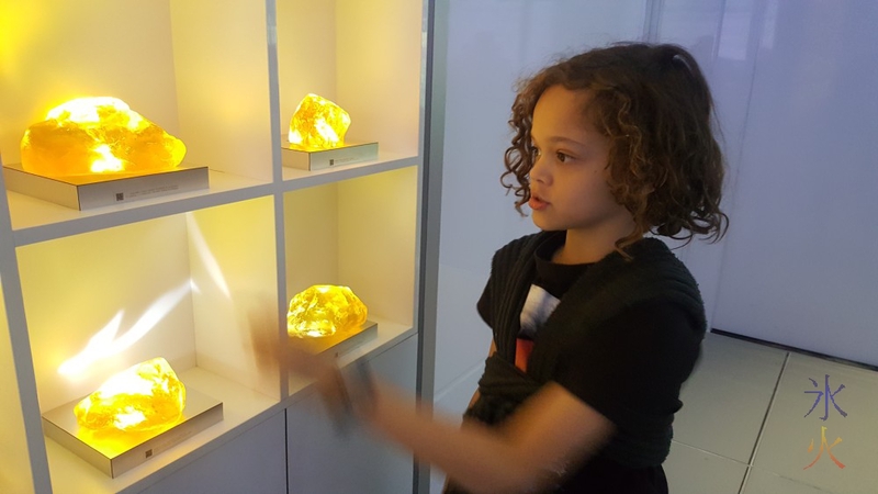 11yo studying amber display at Jurassic World Exhibition, Melbourne Museum, Victoria, Australia