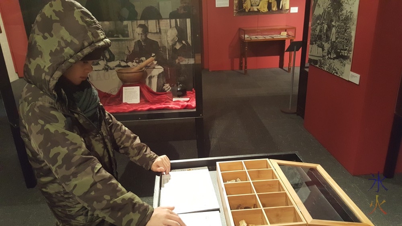 11yo studying Chinese herbs at Chinese Museum, Melbourne, Australia
