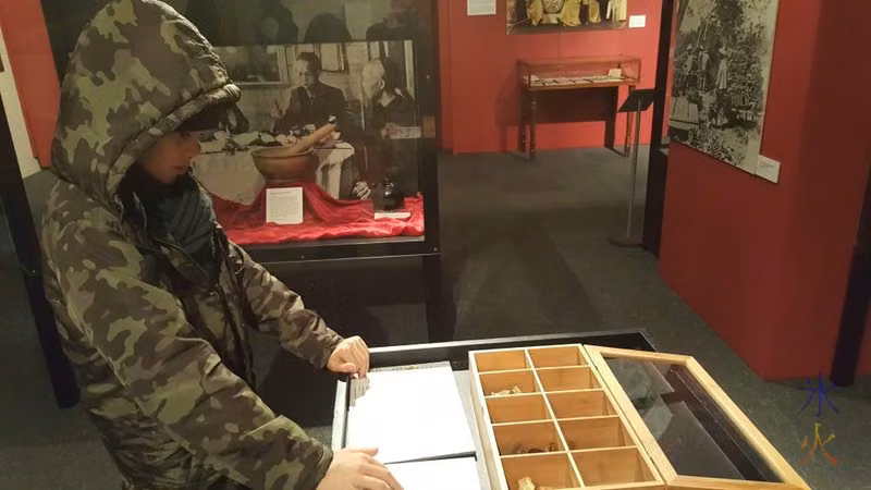 11yo studying Chinese herbs at Chinese Museum, Melbourne, Australia