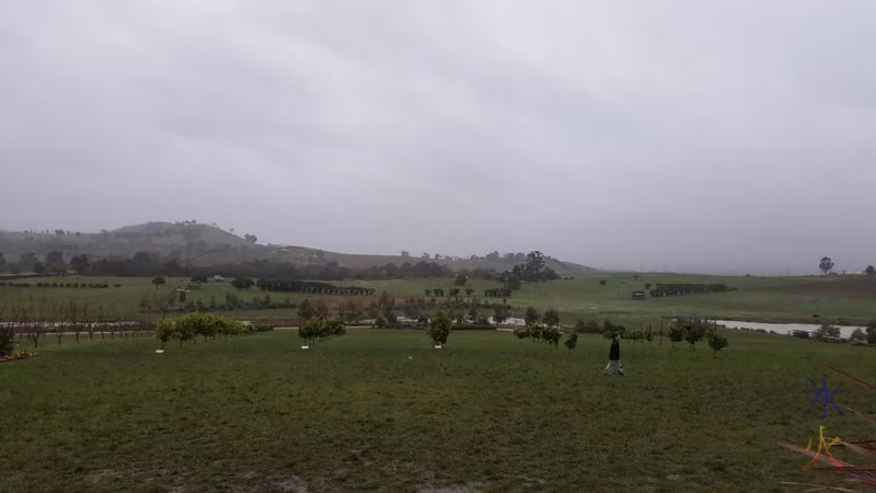 Apparently a cacao plantation at Yarra Valley Chocolaterie, Victoria, Australia