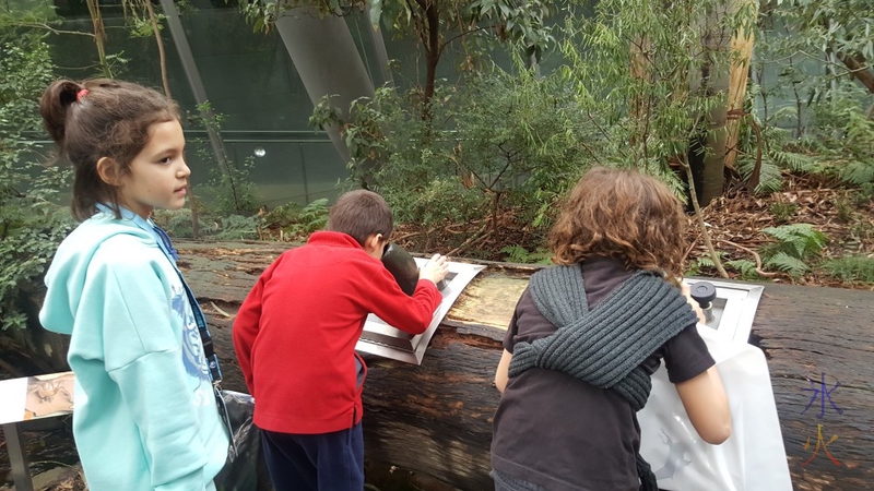 Kids examining life inside a log, Melbourne Museum, Victoria, Australia