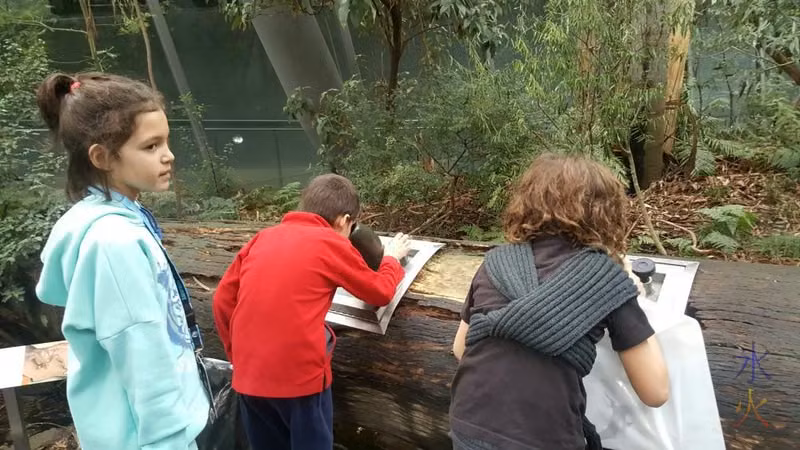 Kids examining life inside a log, Melbourne Museum, Victoria, Australia