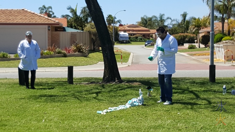 Trying to zoom in on elephant's toothpaste at park