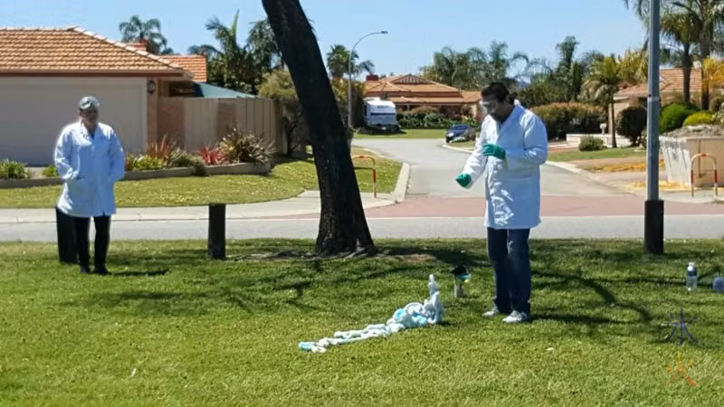 Trying to zoom in on elephant's toothpaste at park