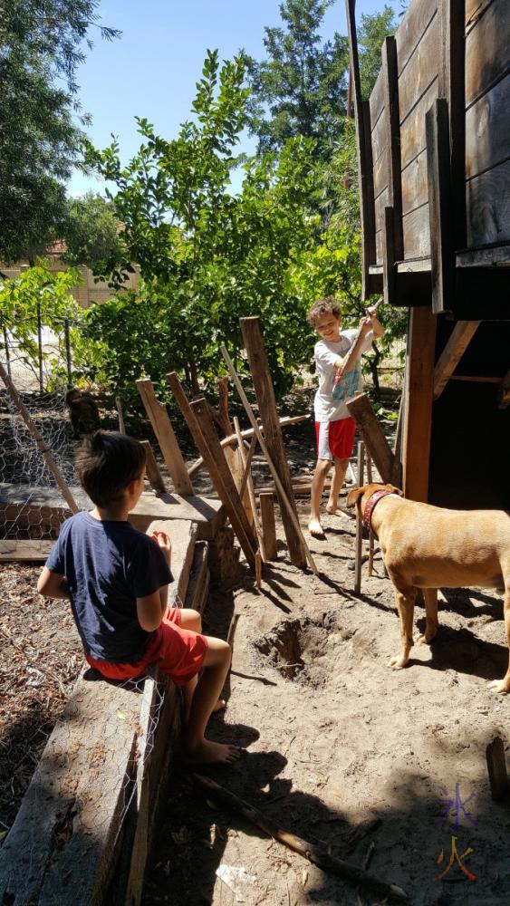 Kids playing with their fort and dog