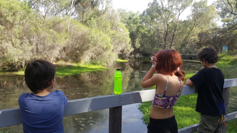 Kids checking out this part of the river