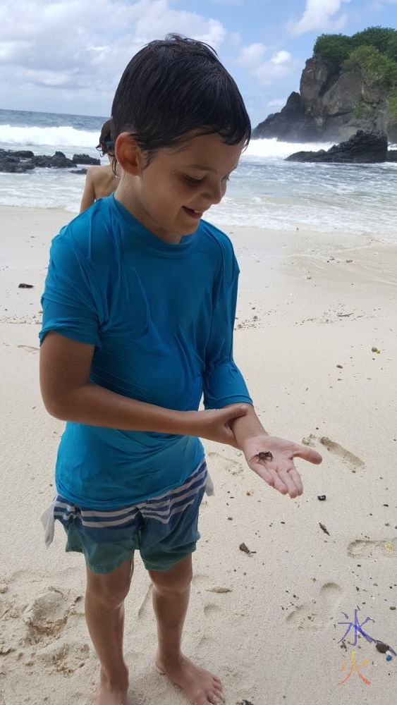 8yo-holding-crab