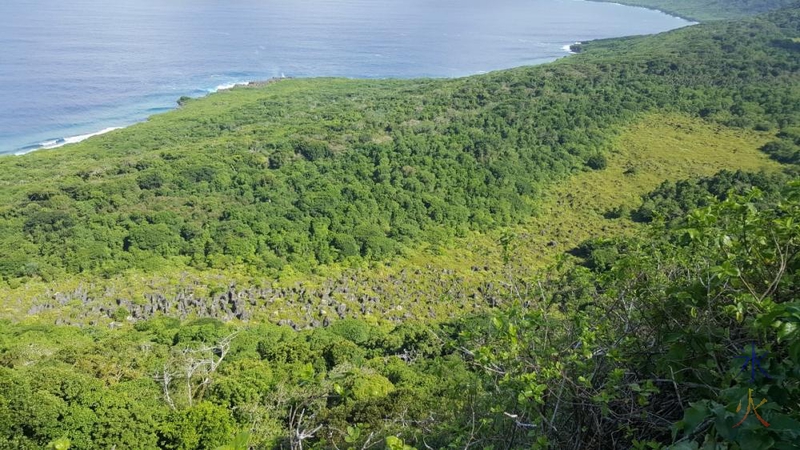 Pinnacles below Margaret's Knoll being grown over by jungle, Christmas Island