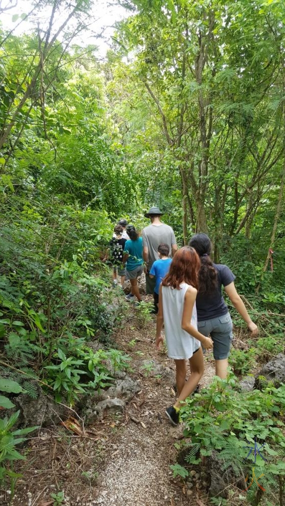 walking-through-jungle-to-golf-course-lookout-christmas-island