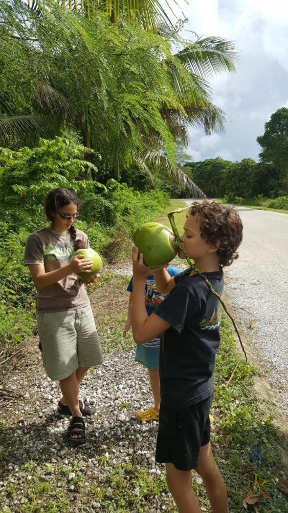 drinking-out-of-cracked-coconuts