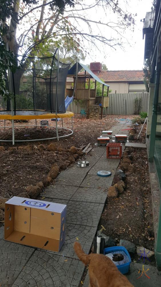 obstacle course in the yard