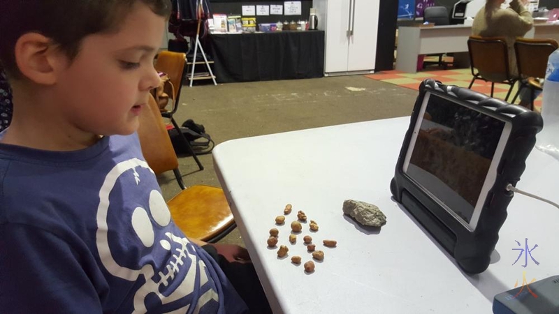 8yo-rock-game