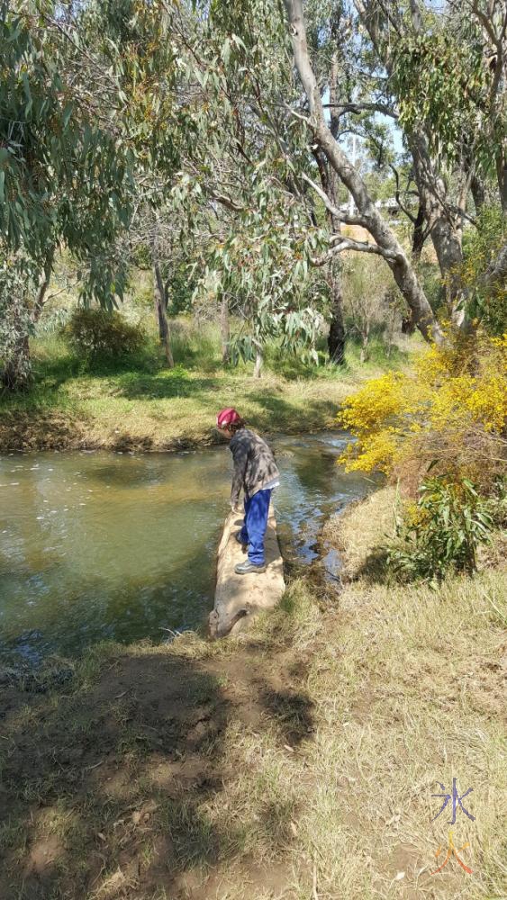 12yo-investigating-water-life