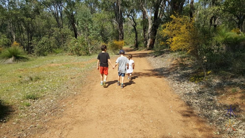 8yo and cousins hiking at Noble Falls