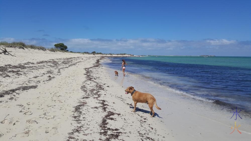 walking-back-along-dog-beach-jurien-bay-western-australia