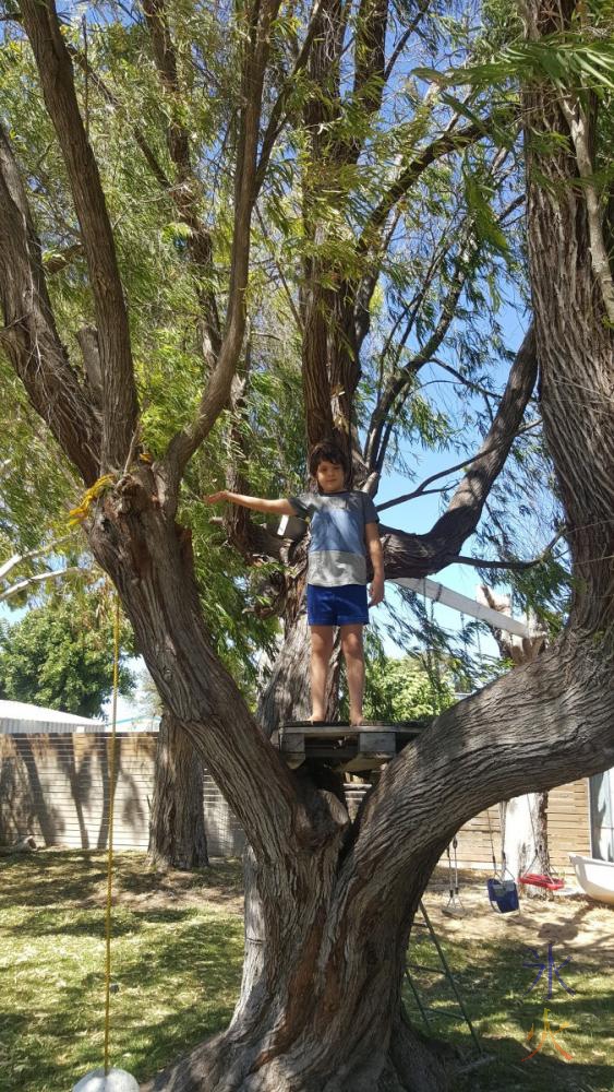 8yo-on-tree-fort-jurien-beach-house