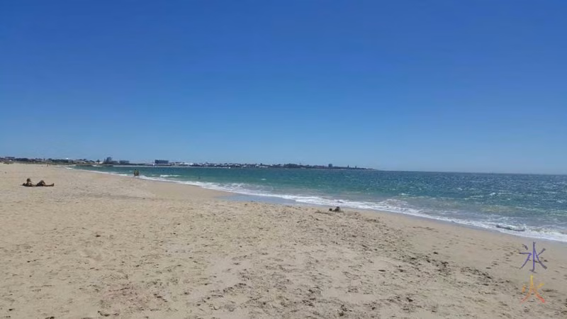 nearby-dog-beach