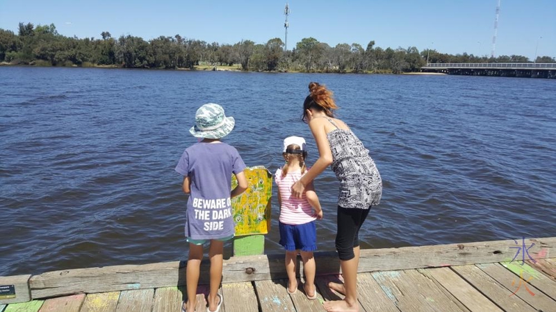 11yo with cousins looking at jellyfish, Garret Rd Bridge Park, Western Australia