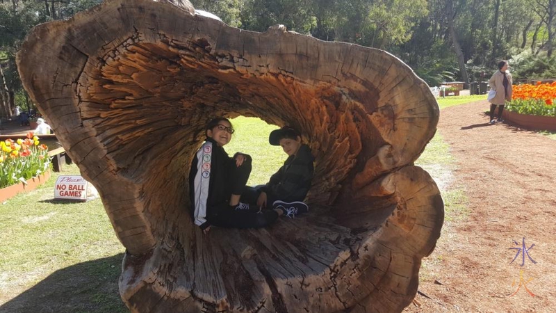 13yo-11yo-inside-log-araluen