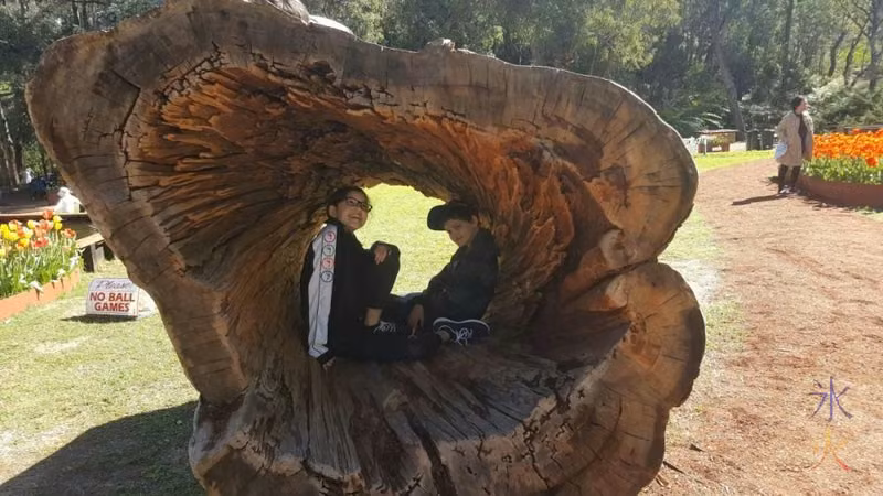 13yo-11yo-inside-log-araluen