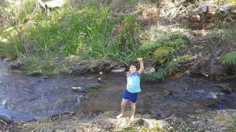 9yo-araluen-twig-racing