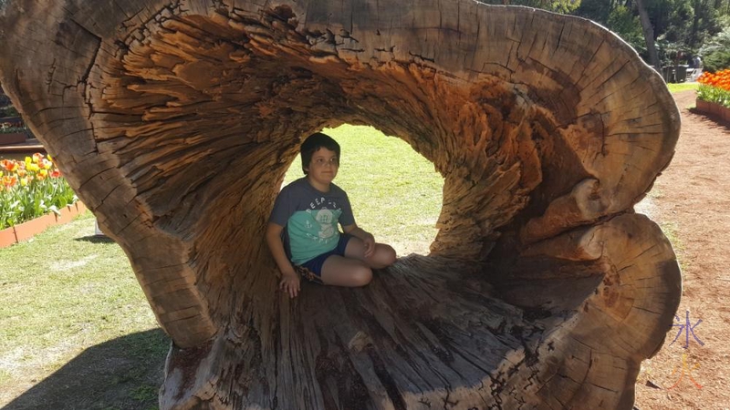 9yo-inside-log-araluen