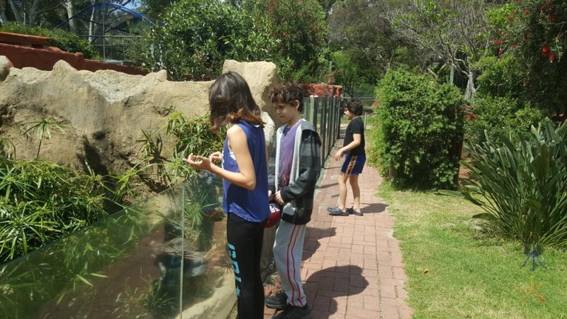 13yo-11yo-9yo-armadale-reptile-centre-outside