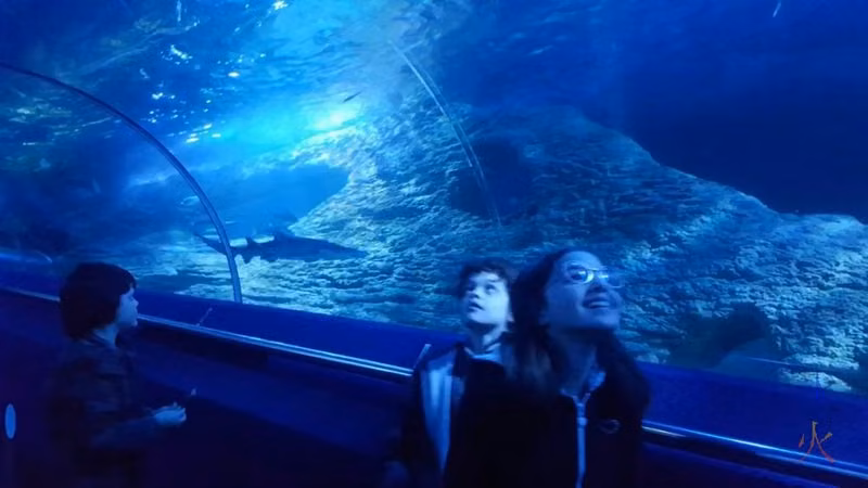 13yo-11yo-9yo-underwater-tunnel-aqwa