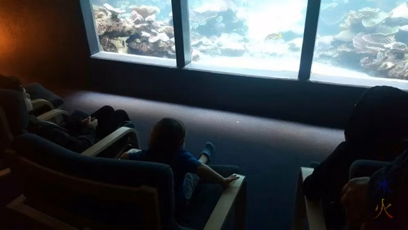 13yo-2yo-11yo-watching-aquarium-aqwa
