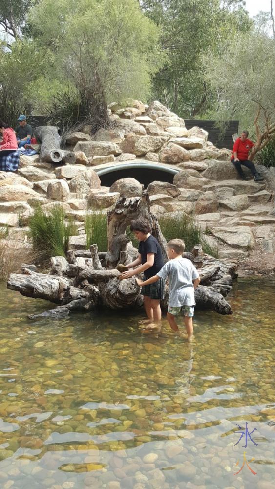 9yo-7yo-cousin-piling-rocks-naturescape-kings-park-wa