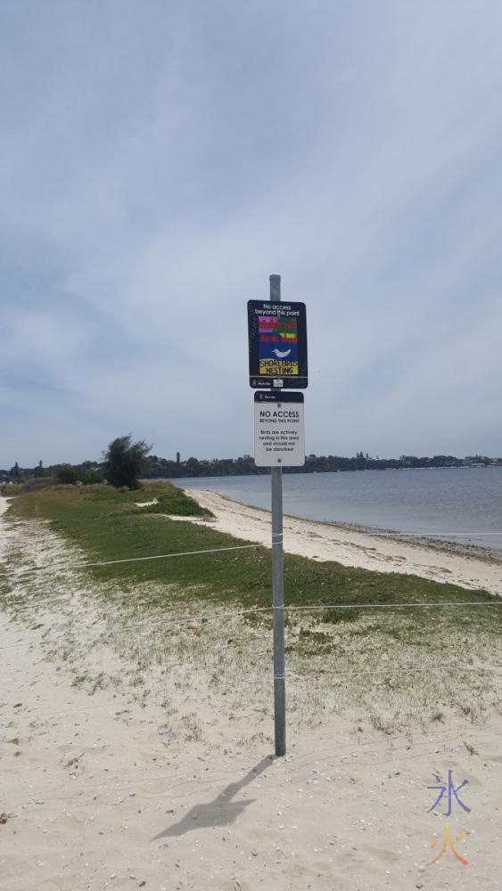 shorebirds-nesting-sign-pt-walter