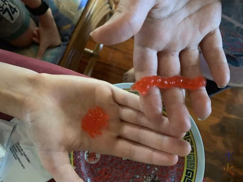 Gummy bugs made with 9yo's gross science kit