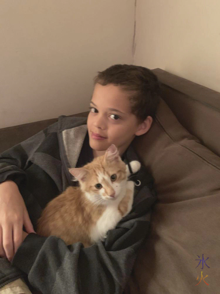 14yo and kitten 14yo and kitten