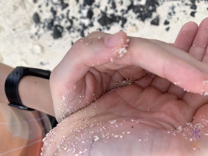 14yo holding crab, Dolly Beach, Christmas Island