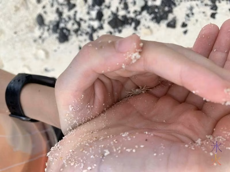 14yo holding crab, Dolly Beach, Christmas Island