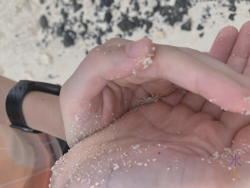 14yo holding crab, Dolly Beach, Christmas Island