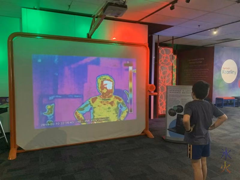 10yo looking at thermographic image