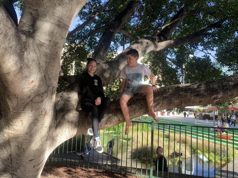 12yo and 10yo in tree, Perth, Western Australia