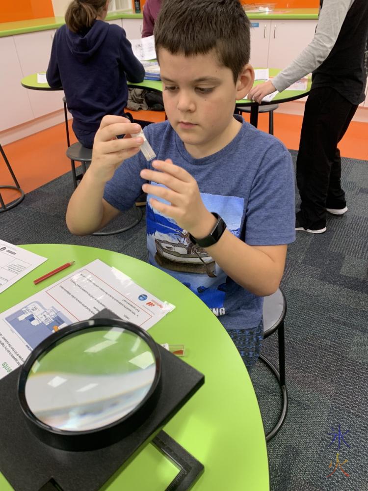 10yo studying samples at forensic science workshop, Scitech, Western Australia