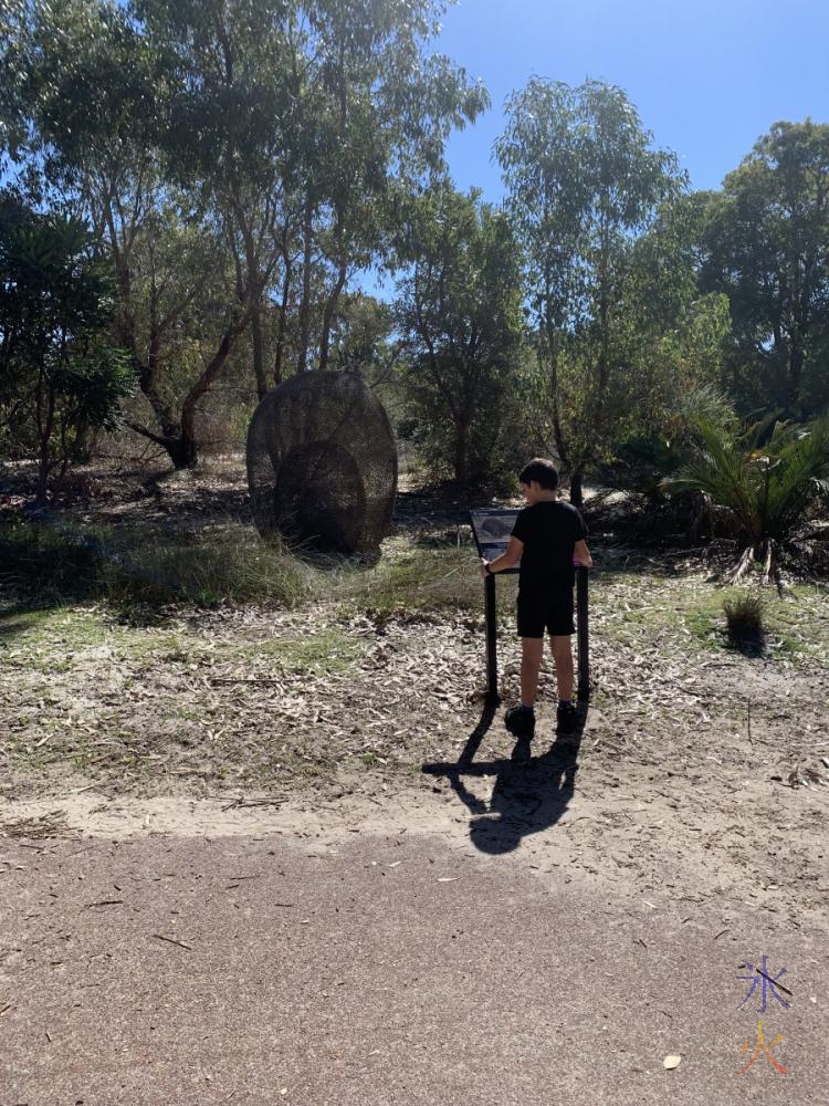 10yo checking out sculpture at Piney Lakes Reserve, Bateman, Western Australia