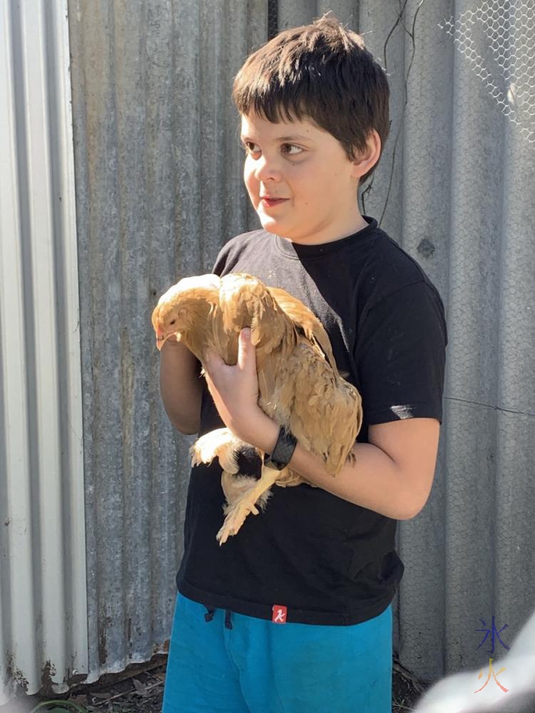 10yo with one of the chickens he named