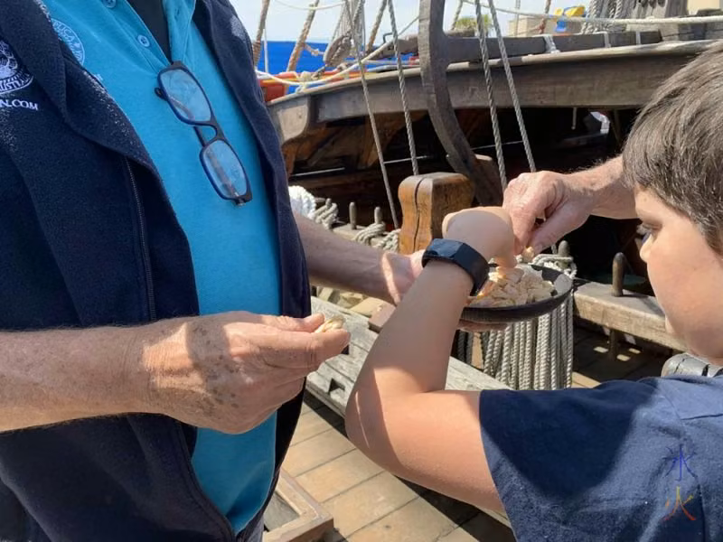 10yo checking out ship biscuits on the Duyfken replica, AQWA, Western Australia