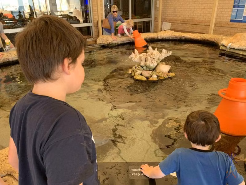 10yo and 3yo at the touchpool, AQWA, Western Australia