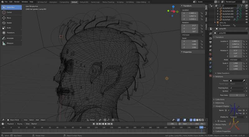 Avian crest rig