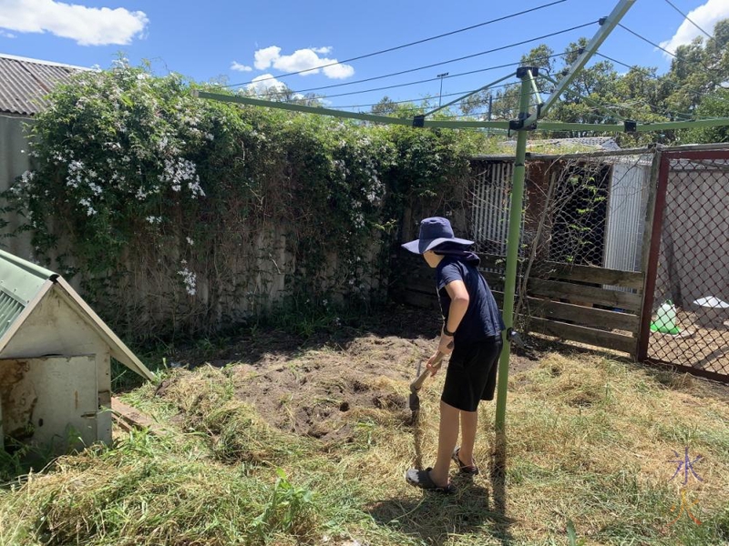 10yo digging strawberry patch