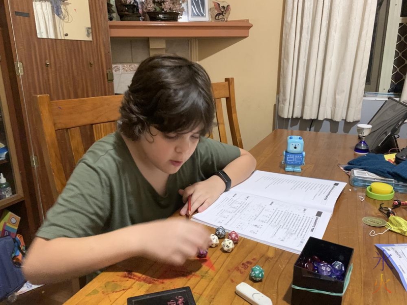 11yo using D10s as a calculator