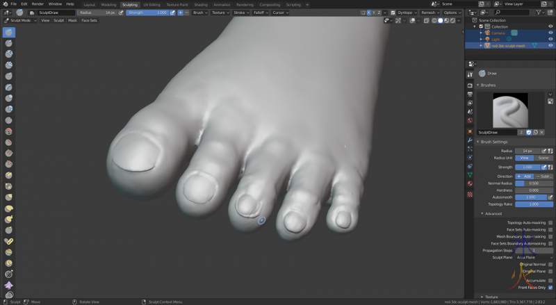 Blender 2.8 sculpting feet