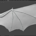 Dragonkin wing with slightly munted membranes int he process of being repaired, Blender 2.83