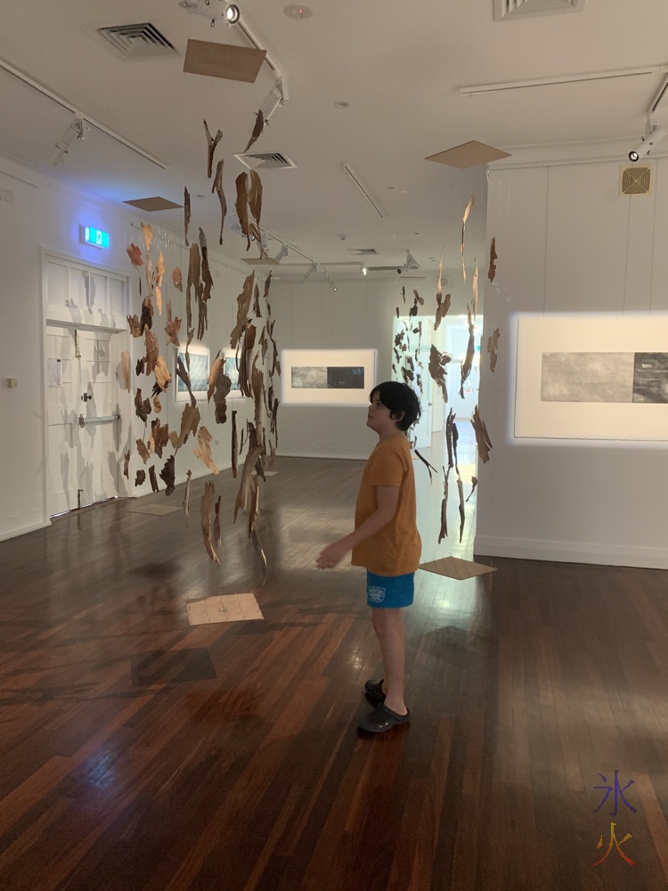 11yo looking at hanging exhibition at Heathcote Gallery, Applecross, Western Australia