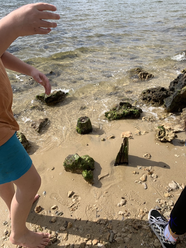 placing rocks in post remants on the river, Applecross, Western Australia